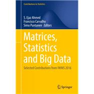 Matrices, Statistics and Big Data