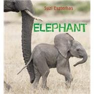 Eye on the Wild: Elephant