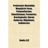 Prehistoric Mustelids : Megalictis Ferox, Potamotherium, Chamitataxus, Promartes, Brachypsalis, Ekorus Ekakeran, Oligobunis, Zodiolestes