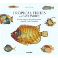 Tropical Fishes of the East Indies