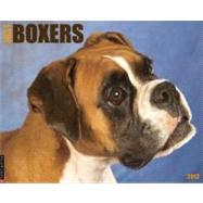 Just Boxers 2013 Calendar