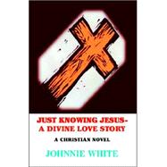 Just Knowing Jesus : A Divine Love Story
