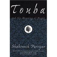 Touba And the Meaning of Night