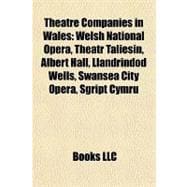 Theatre Companies in Wales : Welsh National Opera, Theatr Taliesin, Albert Hall, Llandrindod Wells, Swansea City Opera, Sgript Cymru