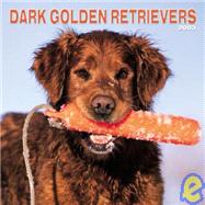 Dark Golden Retrievers 2003 Calendar