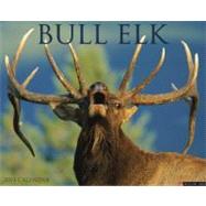 Bull Elk 2013 Calendar