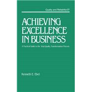 Achieving Excellence in Business: A Practical Guide on the Total Quality Transformation Process
