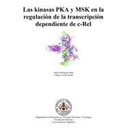 Las kinasas PKA y MSK en la regulacion de la transcripcion dependiente de c-Rel
