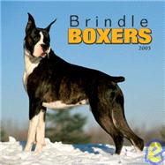 Brindle Boxers 2003 Calendar