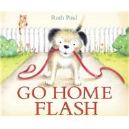 Go Home Flash