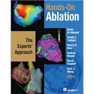 Hands-On Ablation: The Experts' Approach
