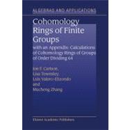Cohomology of Rings of Finite Groups