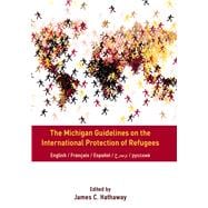 The Michigan Guidelines on the International Protection of Refugees