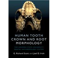 Human Tooth Crown and Root Morphology
