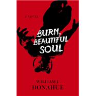Burn, Beautiful Soul A Novel