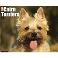 Cairn Terriers 2013 Calendar