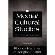 Media/Cultural Studies: Critical Approaches,9780820495262