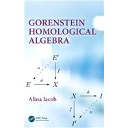 Gorenstein Homological Algebra