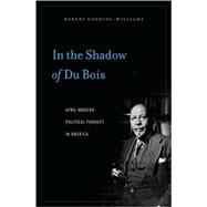 In the Shadow of du Bois : Afro-Modern Political Thought in America