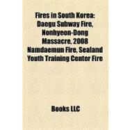 Fires in South Kore : Daegu Subway Fire, Nonhyeon-Dong Massacre, 2008 Namdaemun Fire, Sealand Youth Training Center Fire