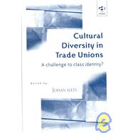 Cultural Diversity in Trade Unions