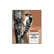 Woodpecker in the Backyard