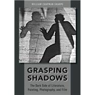 Grasping Shadows The Dark Side of Literature, Painting, Photography, and Film