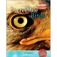 Incredible Birds