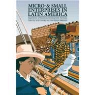 Micro and Small Enterprises in Latin America