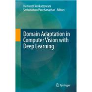 Domain Adaptation in Computer Vision With Deep Learning
