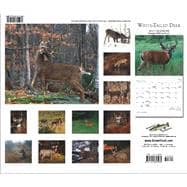 White-tailed Deer 2007 Deluxe Calendar