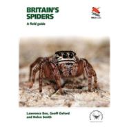 Britain’s Spiders
