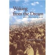 Waking from the Dream