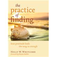 The Practice of Finding