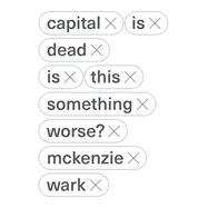 Capital is Dead Is This Something Worse?