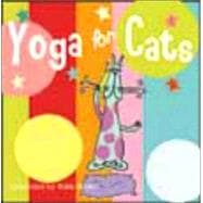 Yoga For Cats