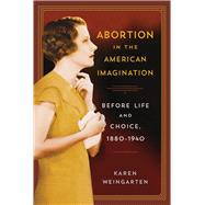 Abortion in the American Imagination