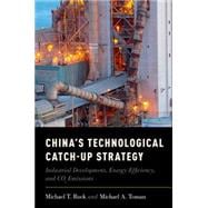 China's Technological Catch-Up Strategy Industrial Development, Energy Efficiency, and CO2 Emissions