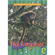 Tree Kangaroos
