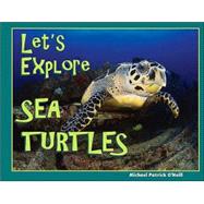 Let's Explore Sea Turtles