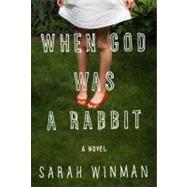 When God Was a Rabbit A Novel