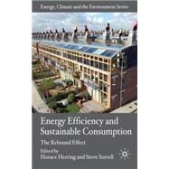 Energy Efficiency and Sustainable Consumption The Rebound Effect book cover, ISBN 9780230525344