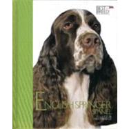 English Springer: Pet Book