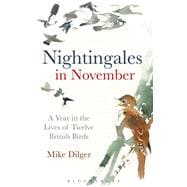 Nightingales in November A Year in the Lives of Twelve British Birds
