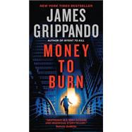 Money to Burn : A Novel of Suspense