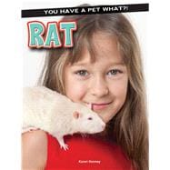 Rat