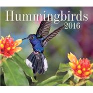 Hummingbirds 2016 Calendar