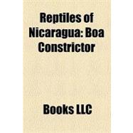 Reptiles of Nicaragu : Boa Constrictor, Loggerhead Sea Turtle, Agkistrodon Bilineatus