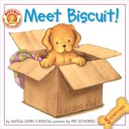 Meet Biscuit 8x8