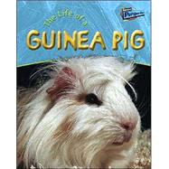 The Life of a Guinea Pig
